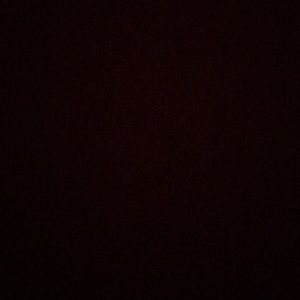 Meet your Posher, Ava